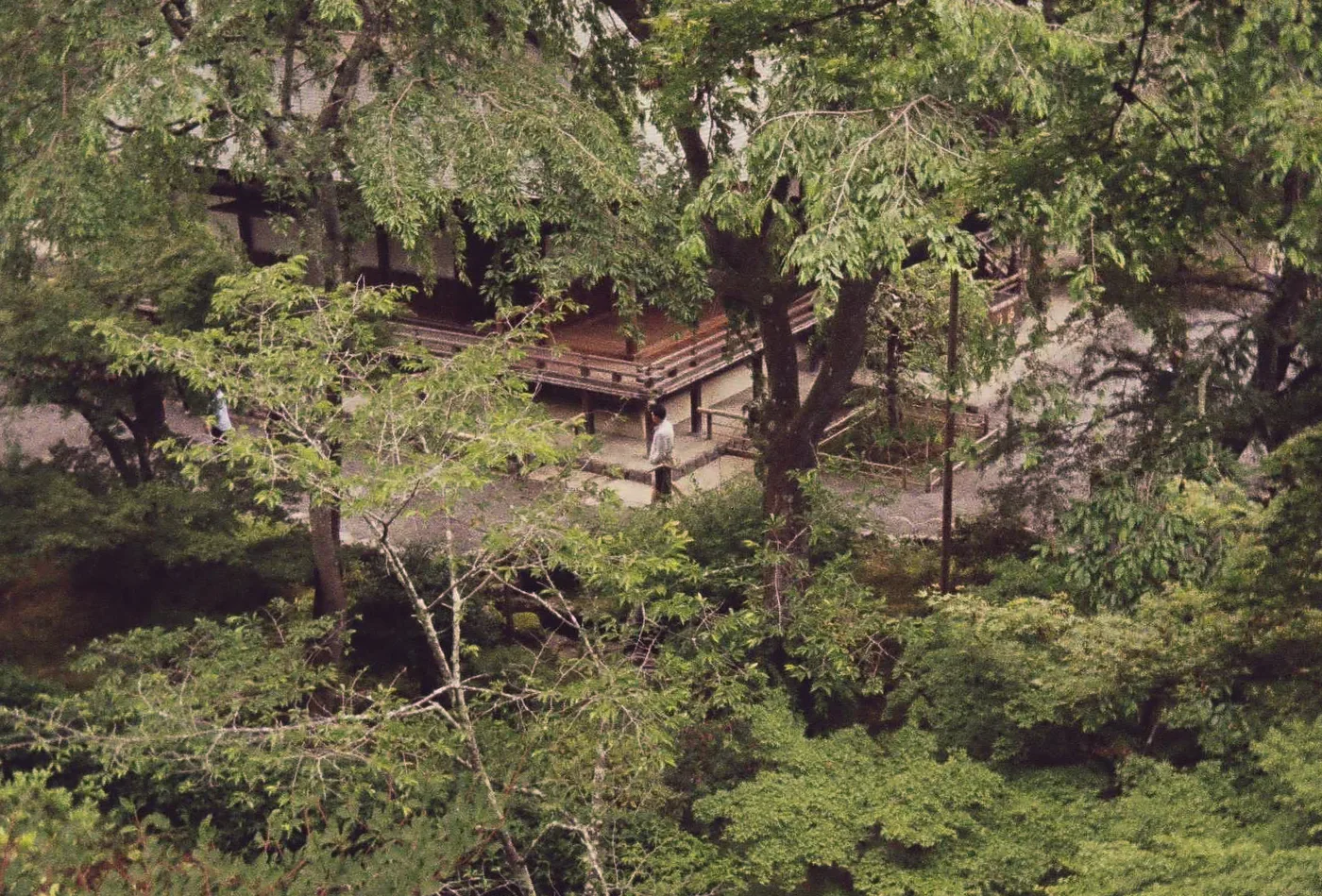 Japan on Film 2025 — photo 5